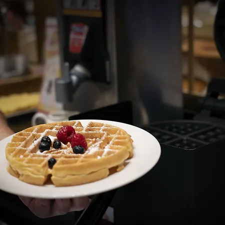 Hilton Garden Centre 4* بودابست